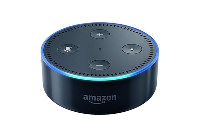 what's the difference between google home and echo dot