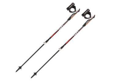 new balance expert performance walking pole