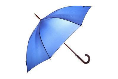 the wirecutter umbrella