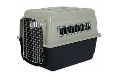 large dog travel crate