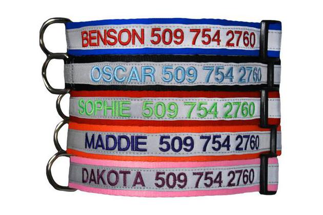 Buckle-Down Dog Collar Plastic Clip Bass Fish Water Bubbles Available in Adjustable Sizes for Small Medium Large Dogs