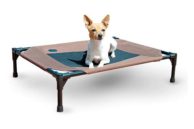 best dog cot