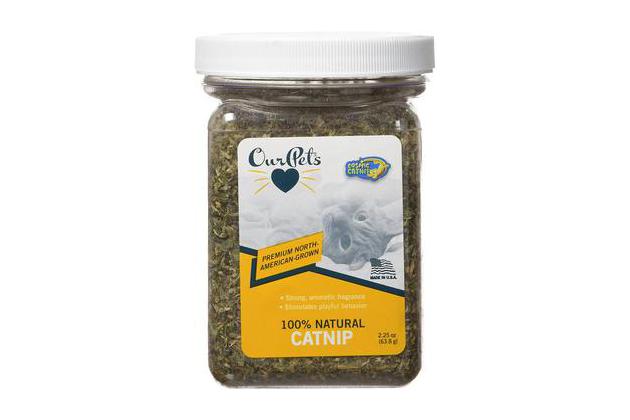 ourpets cosmic catnip