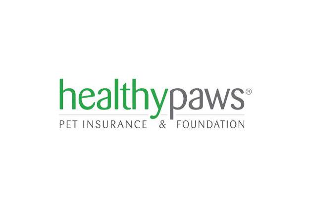 The Best Pet Insurance | Reviews by Wirecutter