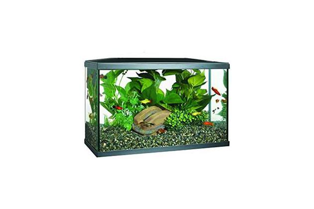 walmart black light fish tank