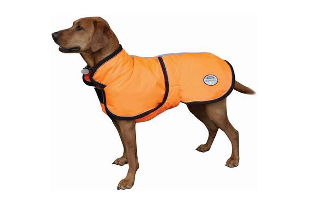 best warm waterproof dog coat