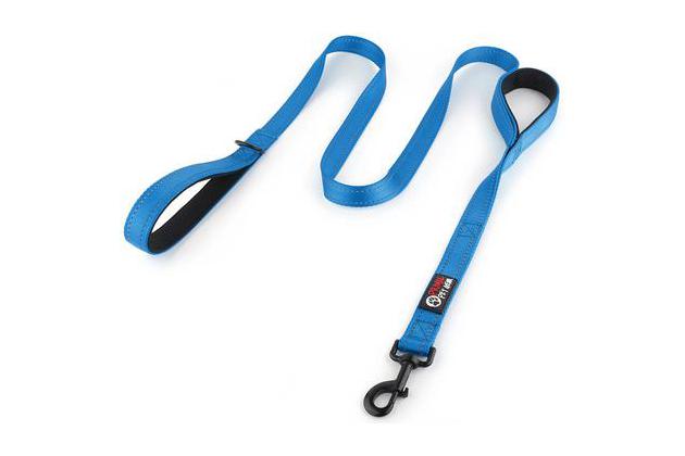 Leash with two store handles