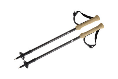 best hiking trekking pole