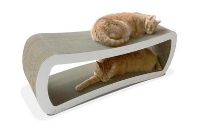 The Best Cat Beds According to Our Cats for 2024 Reviews by Wirecutter