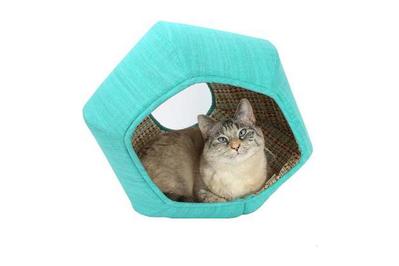 Best Cat Beds (According to Our Cats 