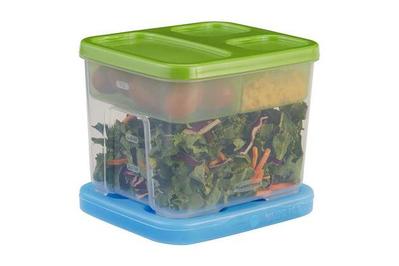 lunch containers for adults