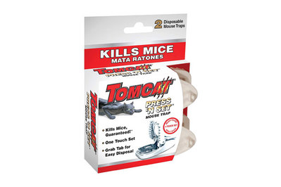 setting mouse traps outside