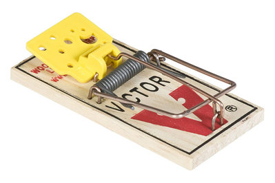 The Best Mousetraps