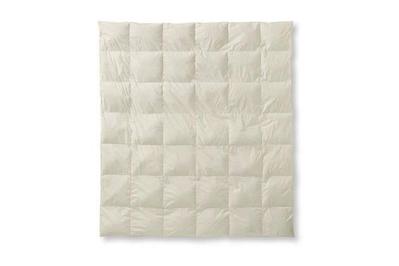 target fieldcrest warmer down comforter