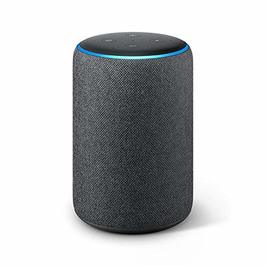 alexa v google home