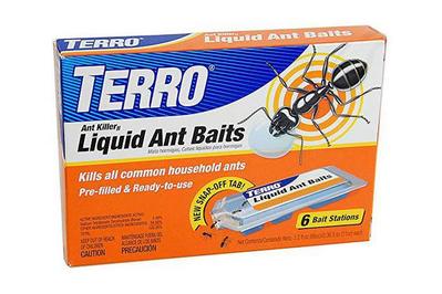 The Best Ant Killer Reviews By Wirecutter