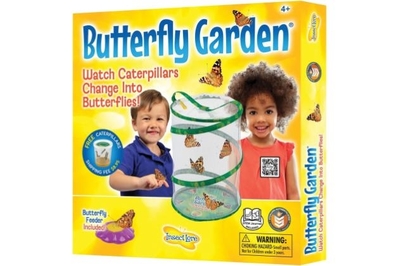 https://d1b5h9psu9yexj.cloudfront.net/35344/Insect-Lore-Butterfly-Growing-Kit--with-voucher-_20231013-030527_full.jpeg