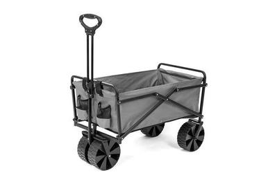 beach wagon with baby seat