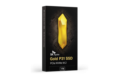 SK Hynix Gold P31 (500 GB NVMe)