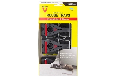 The 5 Best Mousetraps of 2024