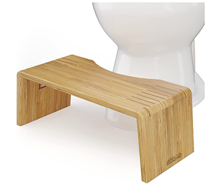 The Squatty Potty: Review & Health Benefits of Squat Pooping - Thrillist