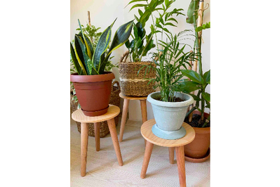 Set of 3 Small Indoor Wooden Pots Original Gift for Plant Lover 