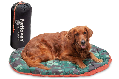 ultimate travel dog bed
