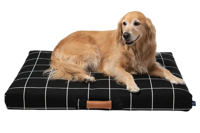 The 9 Best Outdoor Dog Beds for All Weather