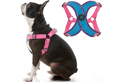 where to buy journey harness for dogs