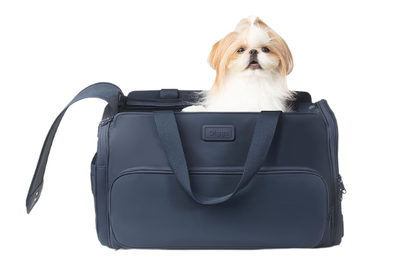 small dog travel bag airline approved