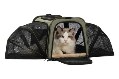 small dog travel bag airline approved