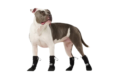 The 6 Best Dog Boots of 2025 Reviews by Wirecutter